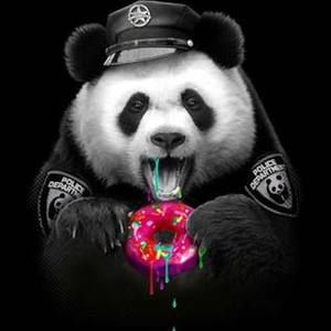 Meet your Posher, Glenn